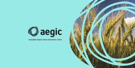 AEGIC