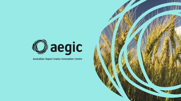 AEGIC