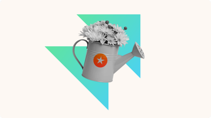 The Best Learning Management Systems for Small Business