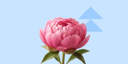 Growth Mindset Examples